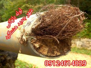 لوله بازکنی شهر جدید هشتگرد